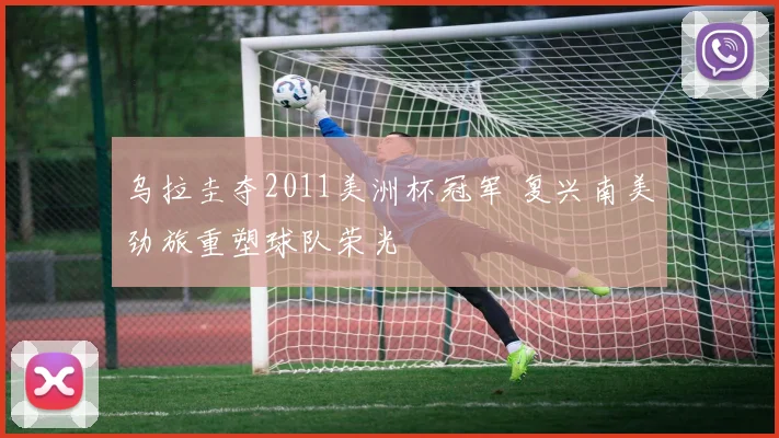 乌拉圭夺2011美洲杯冠军 复兴南美劲旅重塑球队荣光