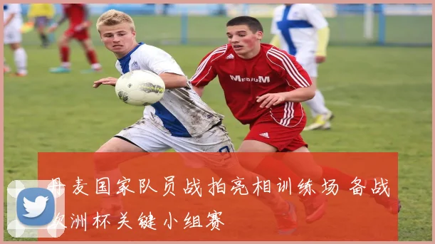 丹麦国家队员战拍亮相训练场 备战欧洲杯关键小组赛