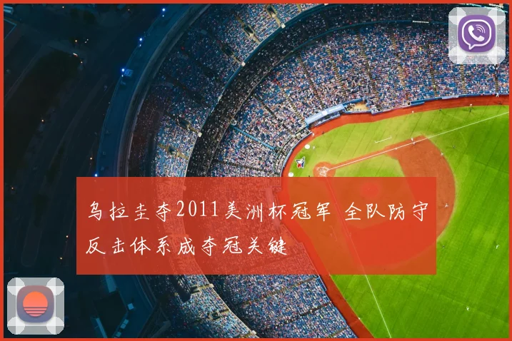 乌拉圭夺2011美洲杯冠军 全队防守反击体系成夺冠关键