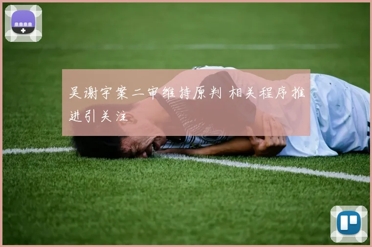 吴谢宇案二审维持原判 相关程序推进引关注