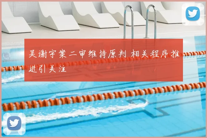 吴谢宇案二审维持原判 相关程序推进引关注