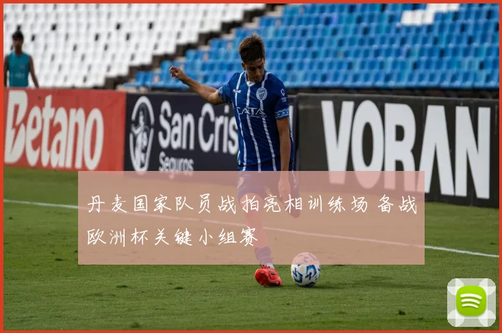 丹麦国家队员战拍亮相训练场 备战欧洲杯关键小组赛