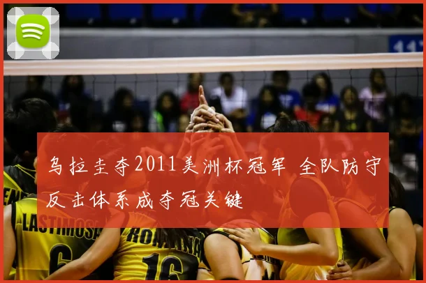 乌拉圭夺2011美洲杯冠军 全队防守反击体系成夺冠关键