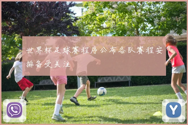 世界杯足球赛程序公布各队赛程安排备受关注