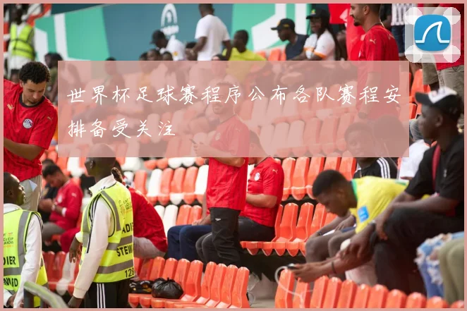 世界杯足球赛程序公布各队赛程安排备受关注